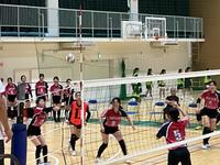 IMG_1046.jpeg