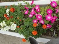 IMG_1146.jpeg