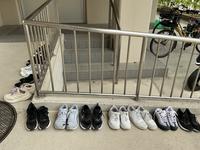 IMG_1147.jpeg