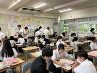 IMG_1173.jpeg