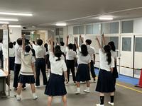 IMG_1222.jpeg