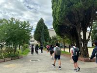 IMG_1243.jpeg