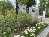 IMG_1246.jpeg