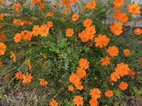 IMG_1249.jpeg