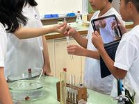 IMG_1286.jpeg