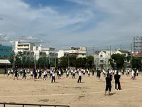 IMG_1294.jpeg