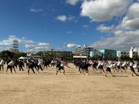 IMG_1331.jpeg