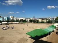 IMG_1378.jpeg