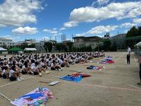 IMG_1390.jpeg