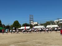 IMG_1477.jpeg