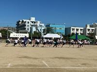 IMG_1478.jpeg