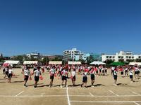 IMG_1556.jpeg