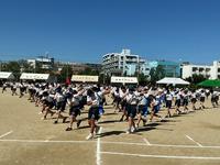 IMG_1564.jpeg