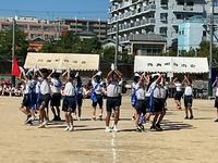 IMG_1569.jpeg