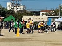 IMG_1701.jpeg