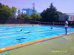 DSCF0240.JPG