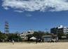 IMG_0053.jpeg