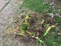 IMG_2081.jpg