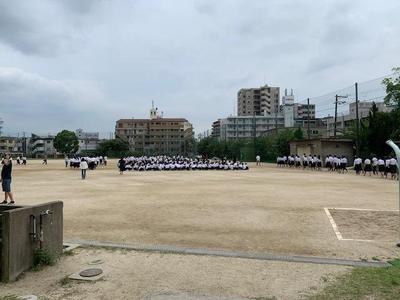 IMG_2176.jpg