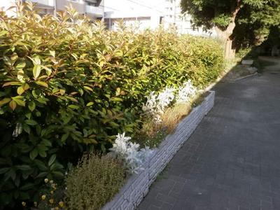 P5310042.JPG