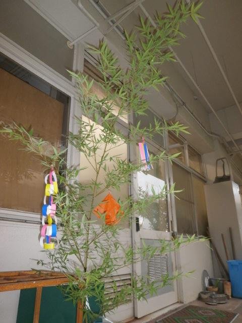 P6300237.JPG