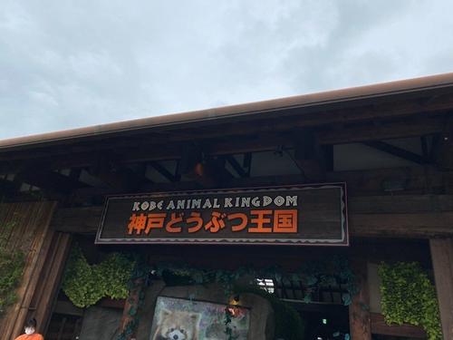 ダウンロード (7).jpg