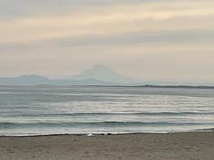 IMG_0265.jpeg