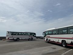 IMG_0195.jpeg