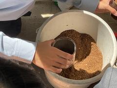 IMG_0100.jpeg