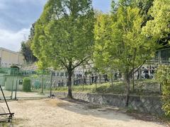 IMG_0158.jpeg