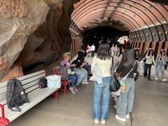 IMG_0336.jpeg