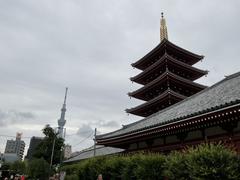 IMG_0369.jpeg
