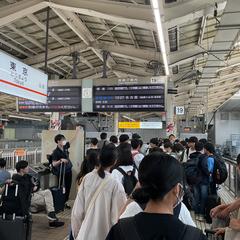 IMG_0181.jpeg