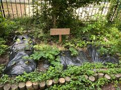 IMG_0511.jpeg