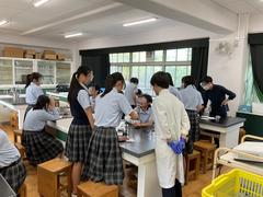 IMG_0599.jpeg