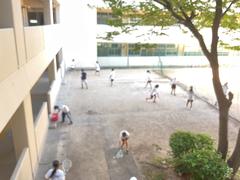 IMG_0765.jpeg