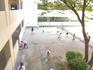 IMG_0765.jpeg