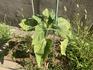 IMG_0771.jpeg