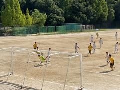 IMG_0777.jpeg