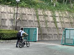 IMG_0778.jpeg