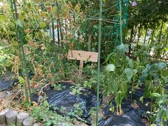 IMG_0779.jpeg