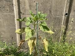 IMG_0795.jpeg
