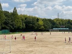 IMG_0801.jpeg