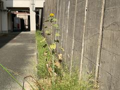 IMG_0883.jpeg