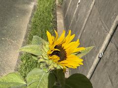 IMG_0884.jpeg