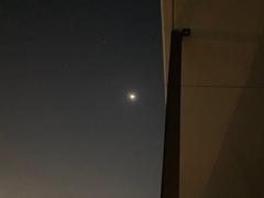 IMG_1701.jpg