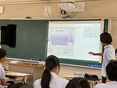 IMG_1045.jpeg