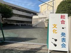 IMG_1089.jpeg