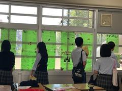 IMG_1152.jpeg