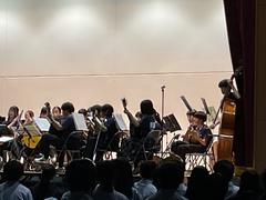 IMG_1208.jpeg